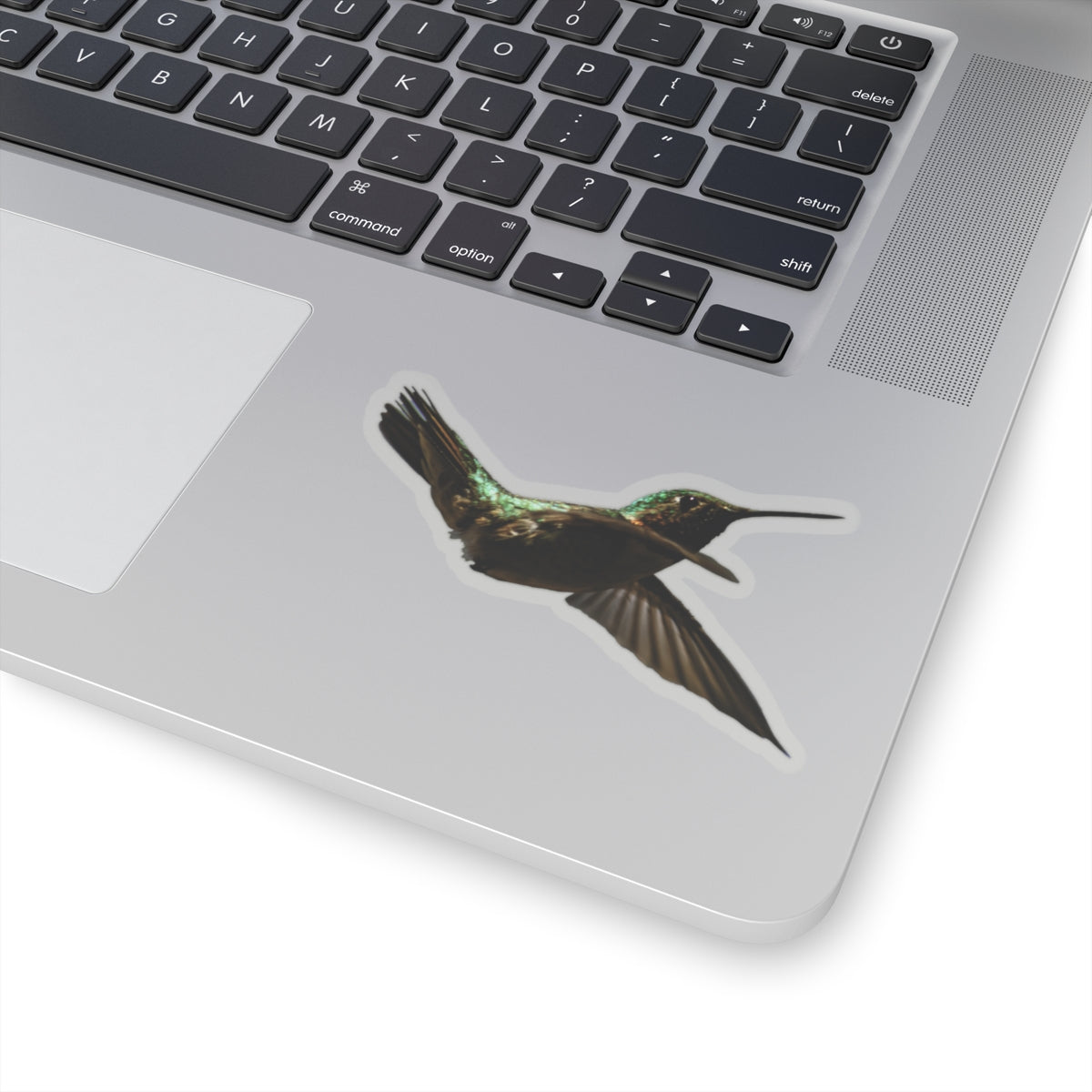 Hummingbird in Flight Sticker