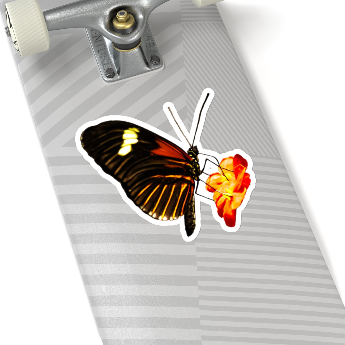 Orange Butterfly on Flower Sticker