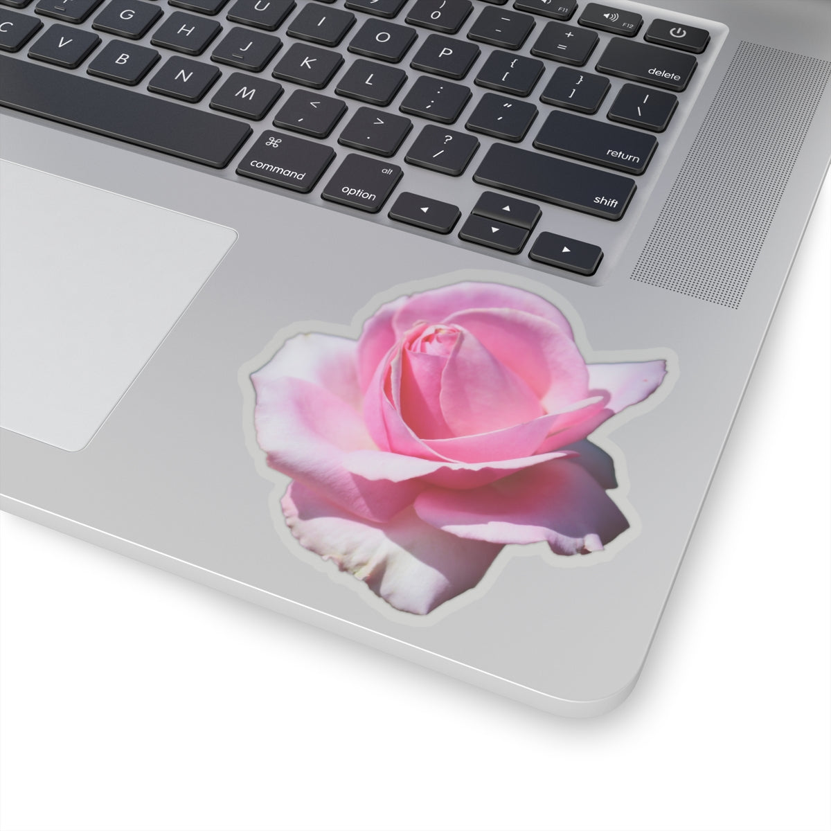 Pink Rose Sticker