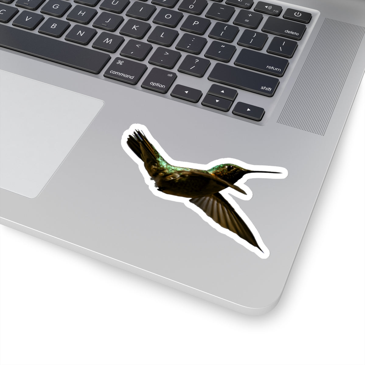 Hummingbird in Flight Sticker