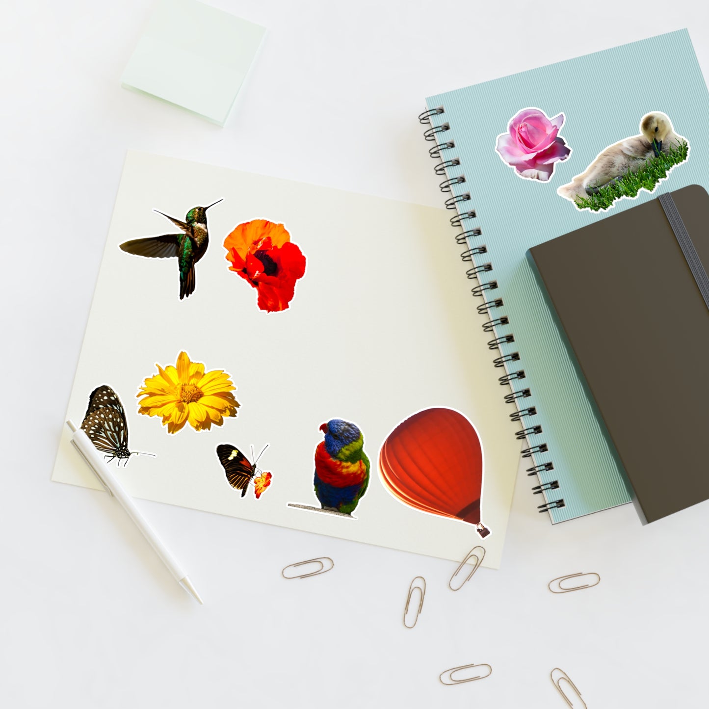 Sticker Sheet