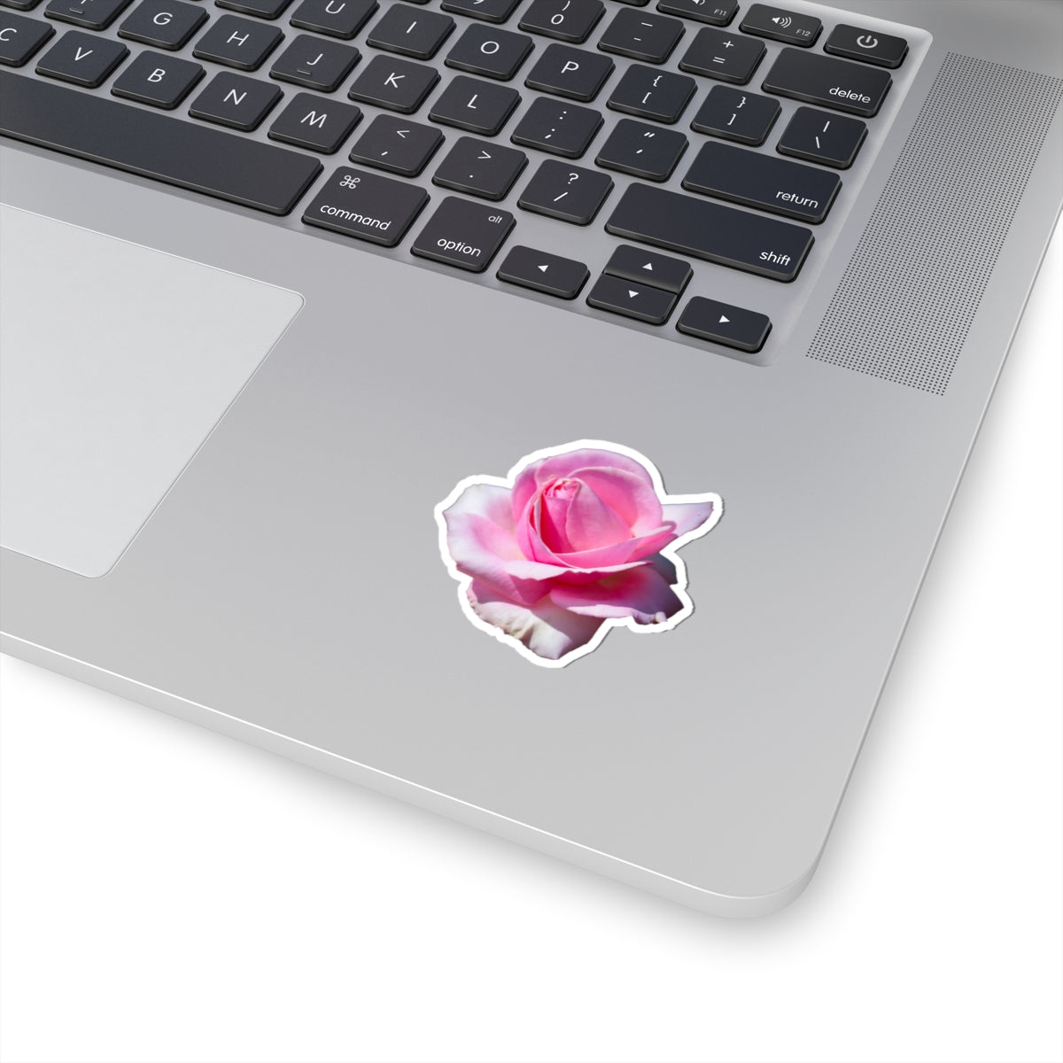 Pink Rose Sticker
