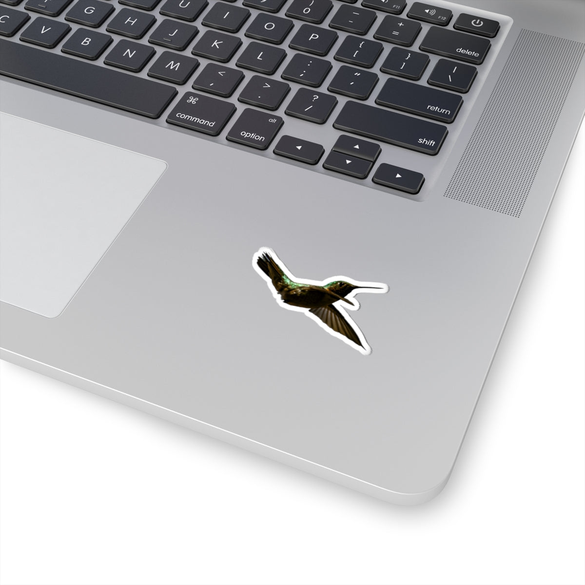 Hummingbird in Flight Sticker
