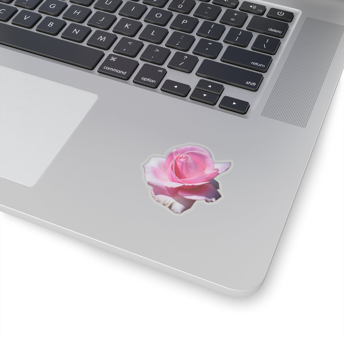 Pink Rose Sticker