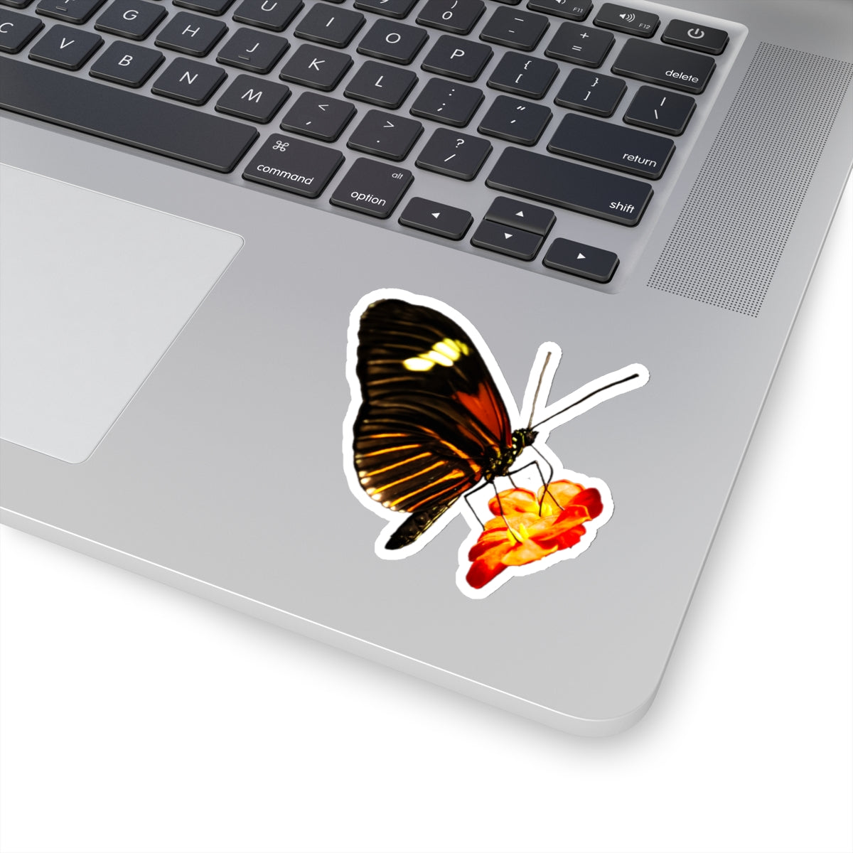 Orange Butterfly on Flower Sticker