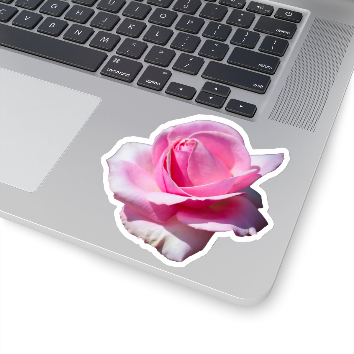 Pink Rose Sticker