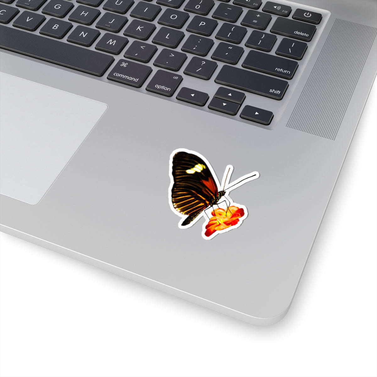 Orange Butterfly on Flower Sticker