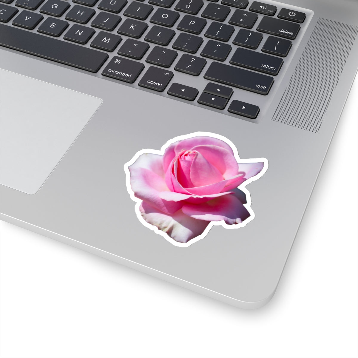 Pink Rose Sticker