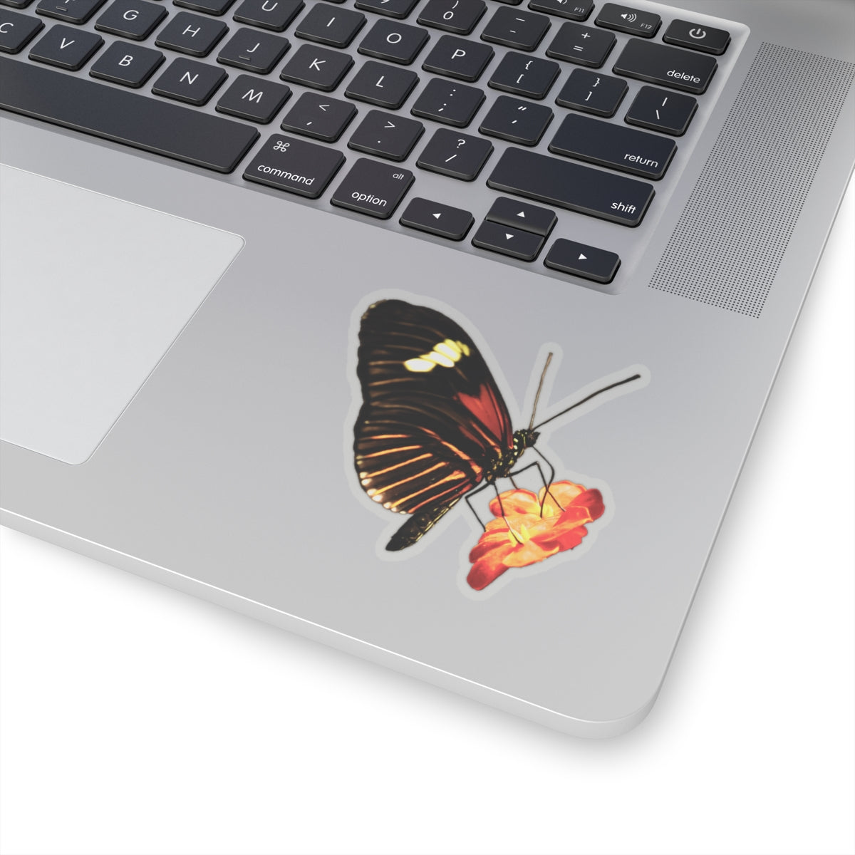 Orange Butterfly on Flower Sticker