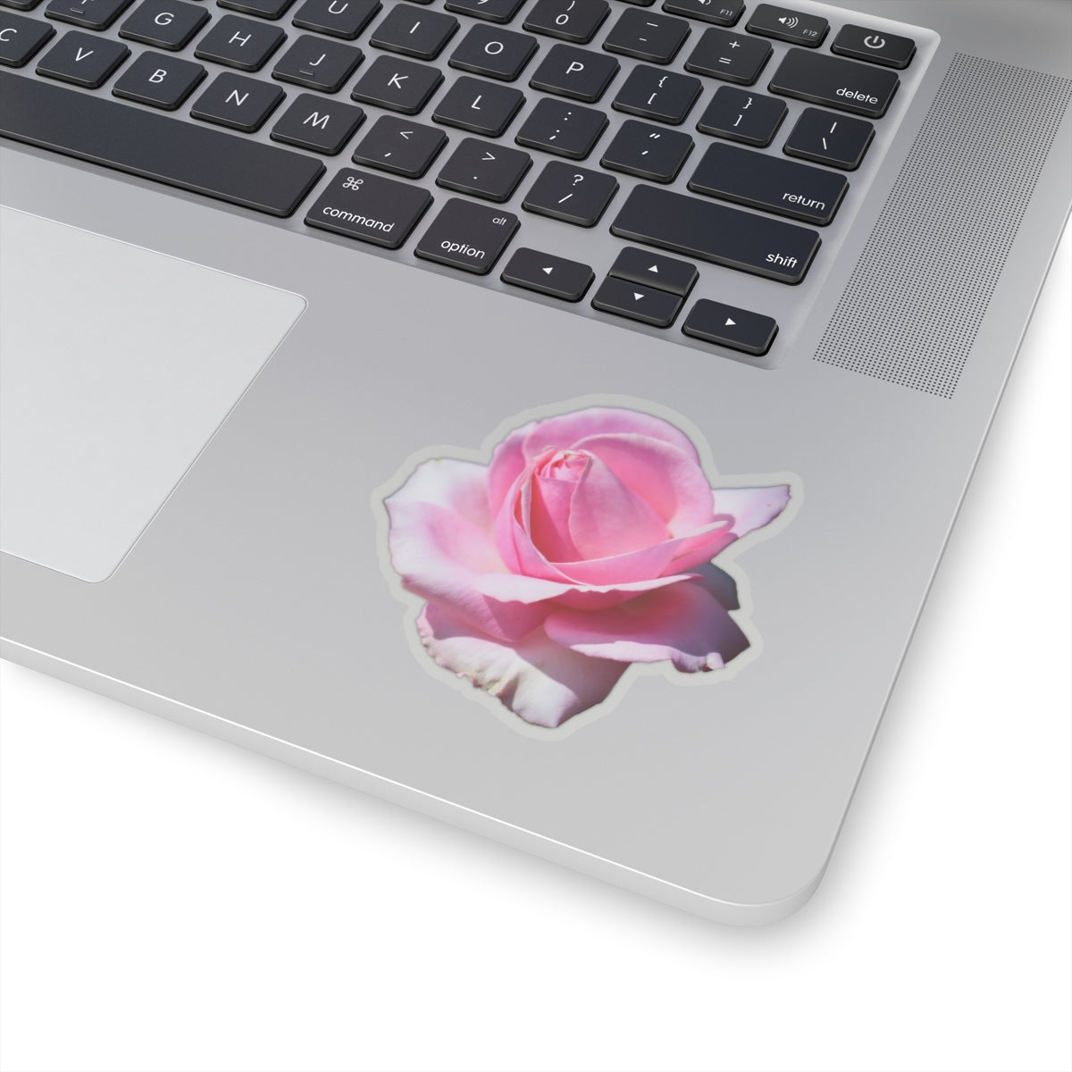 Pink Rose Sticker