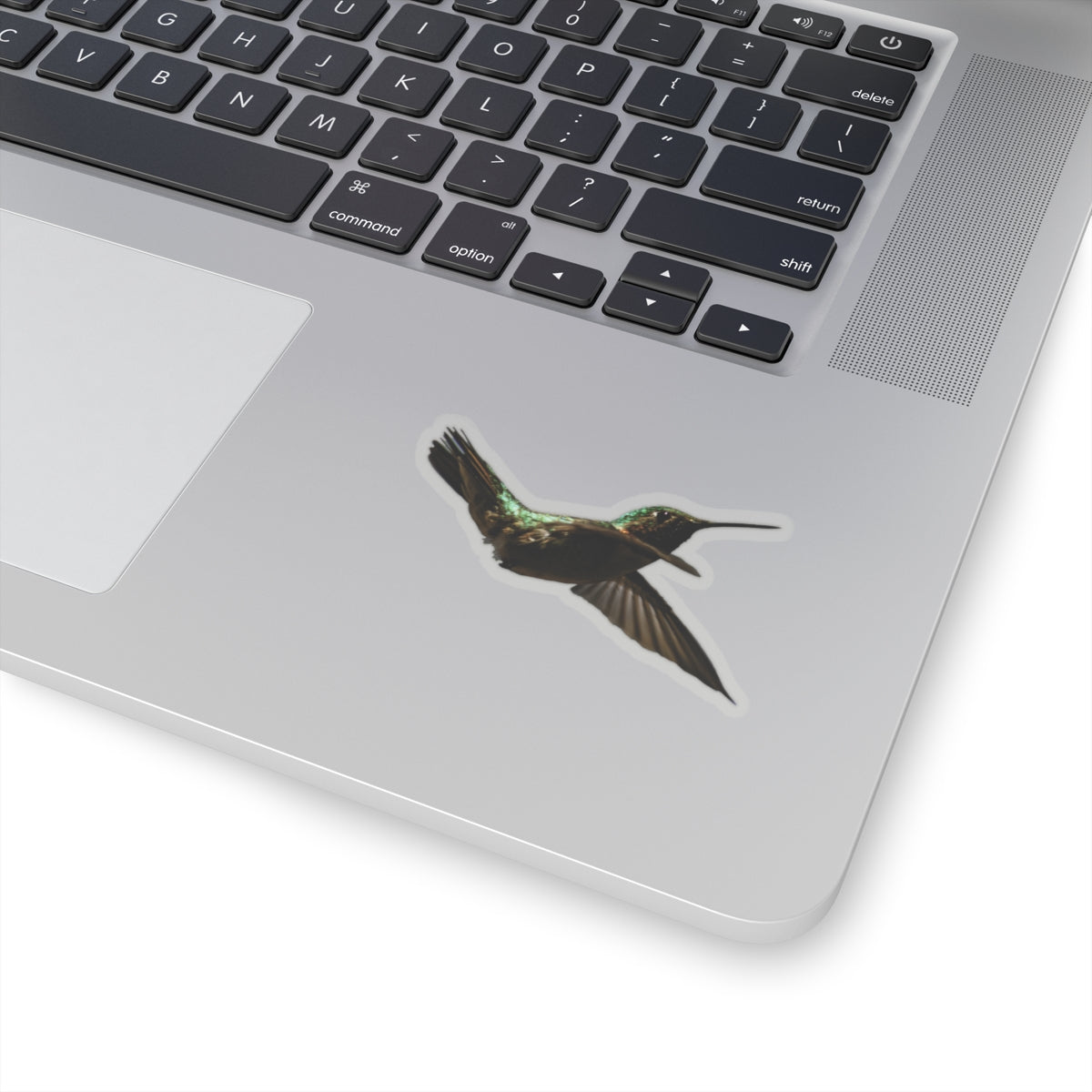Hummingbird in Flight Sticker