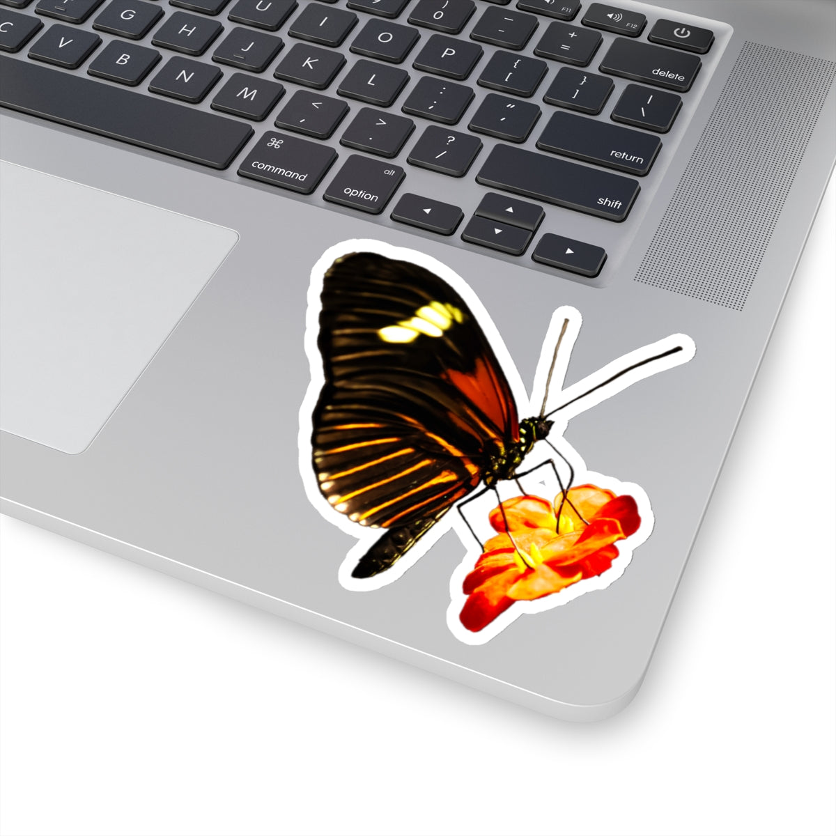 Orange Butterfly on Flower Sticker