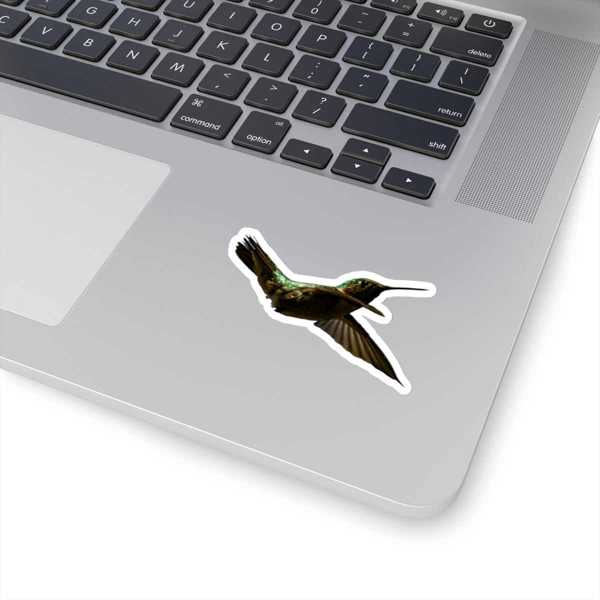 Hummingbird in Flight Sticker
