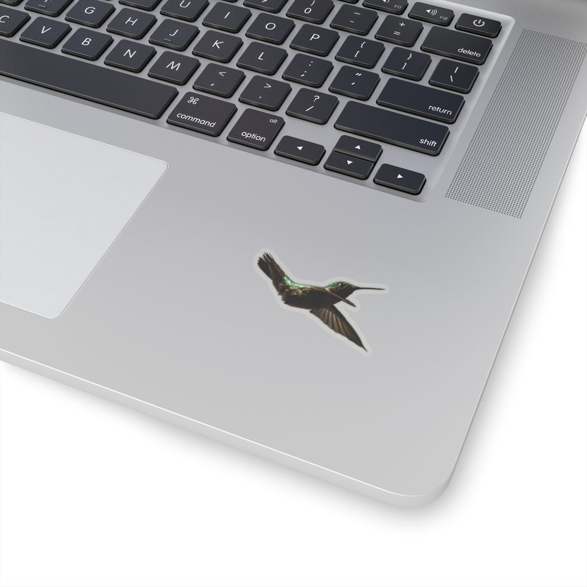 Hummingbird in Flight Sticker
