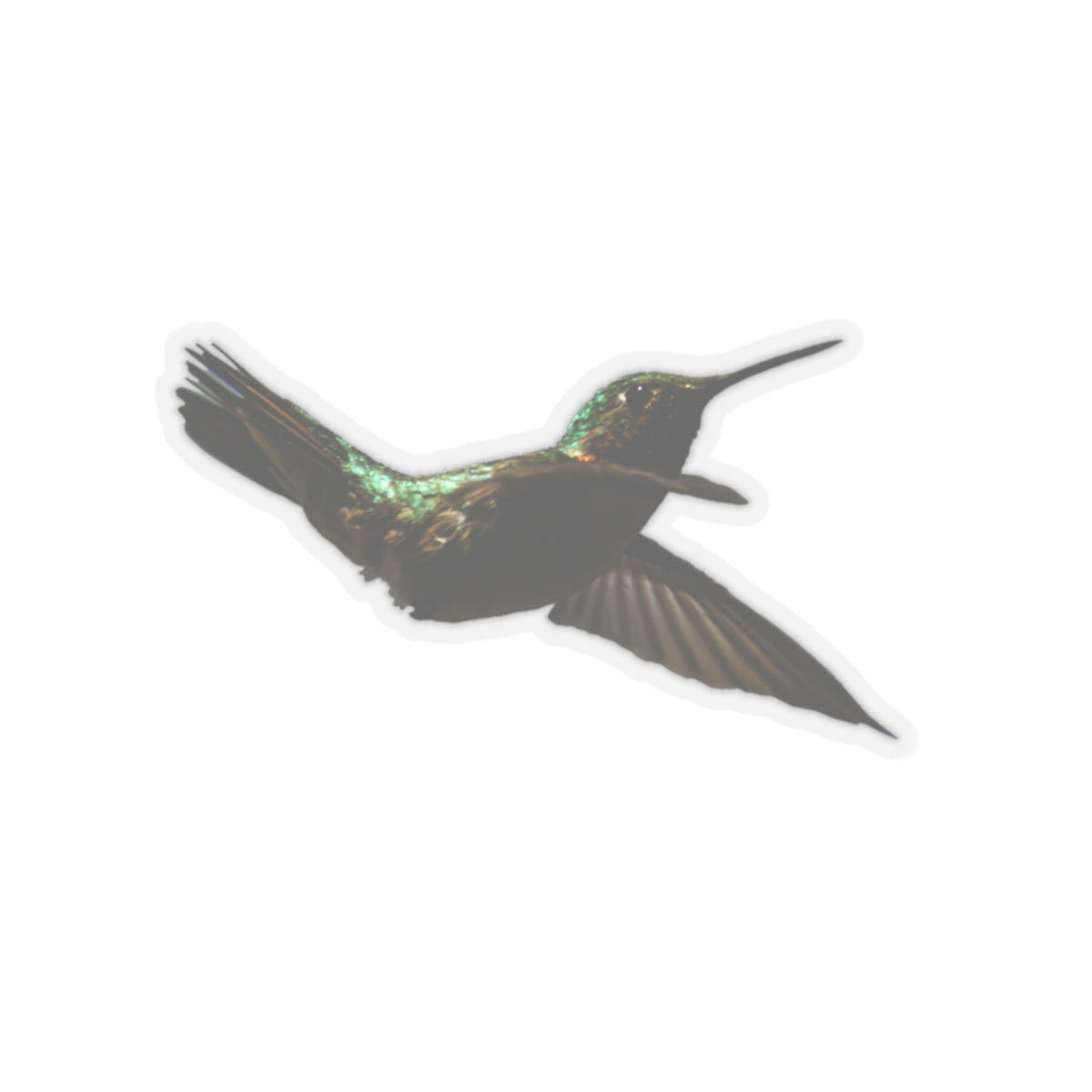 Hummingbird in Flight Sticker