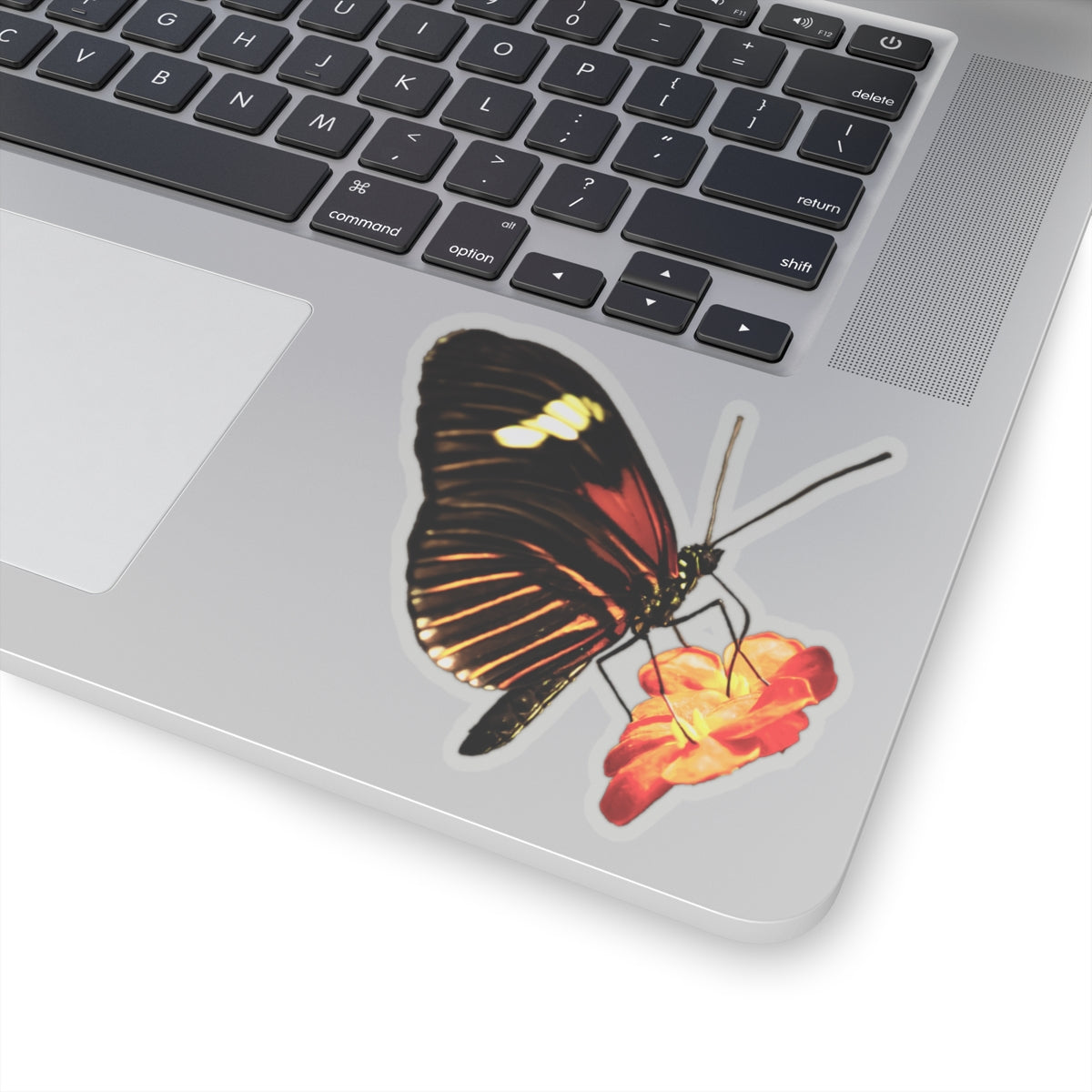 Orange Butterfly on Flower Sticker