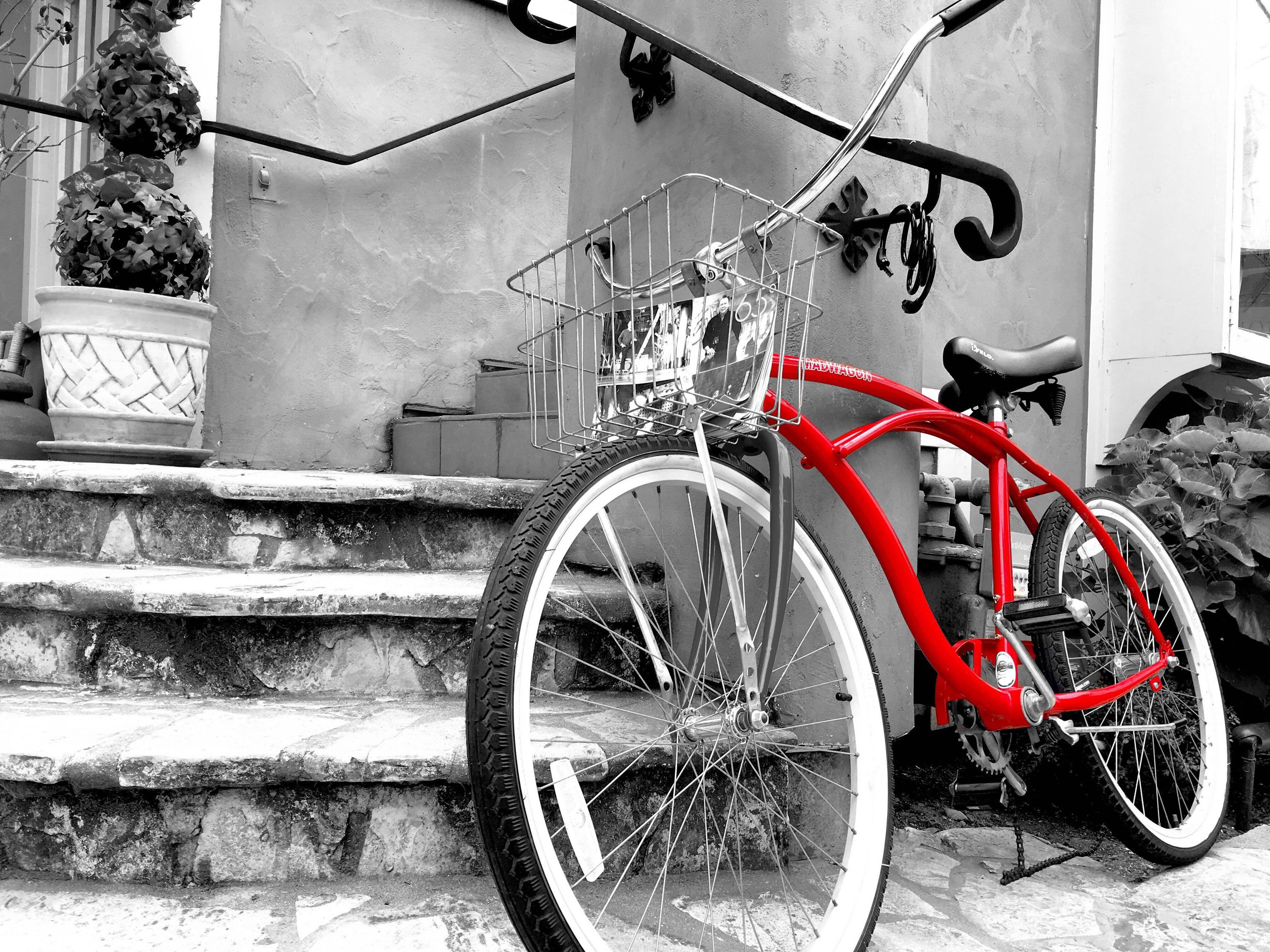 B_W_Carmel_-_Bike.jpg