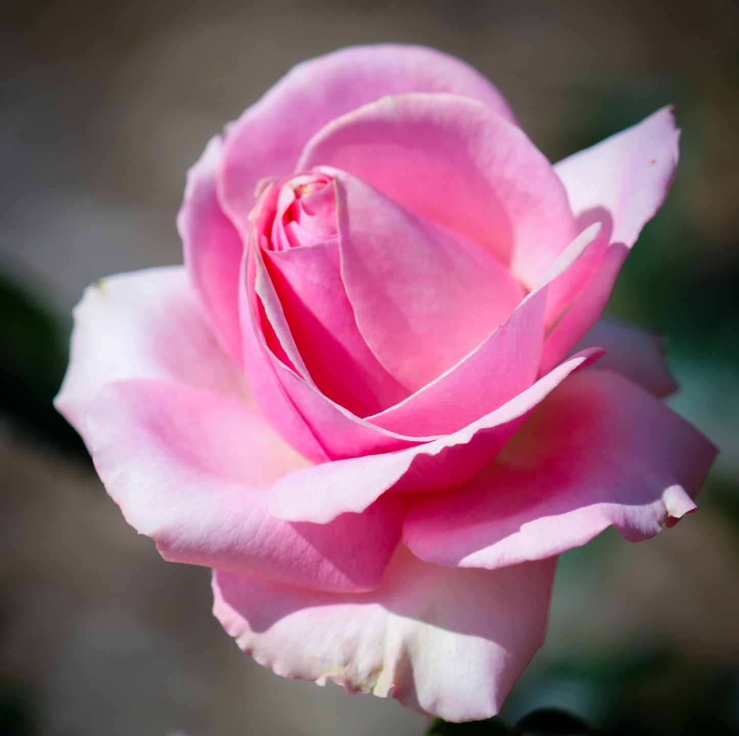 June Photography Workshop