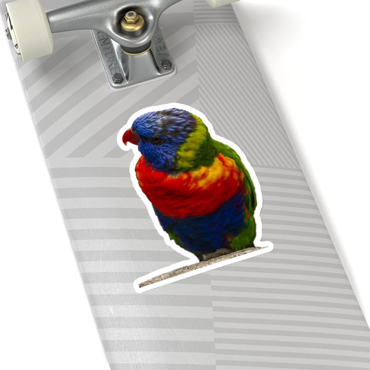 Parrot Sticker