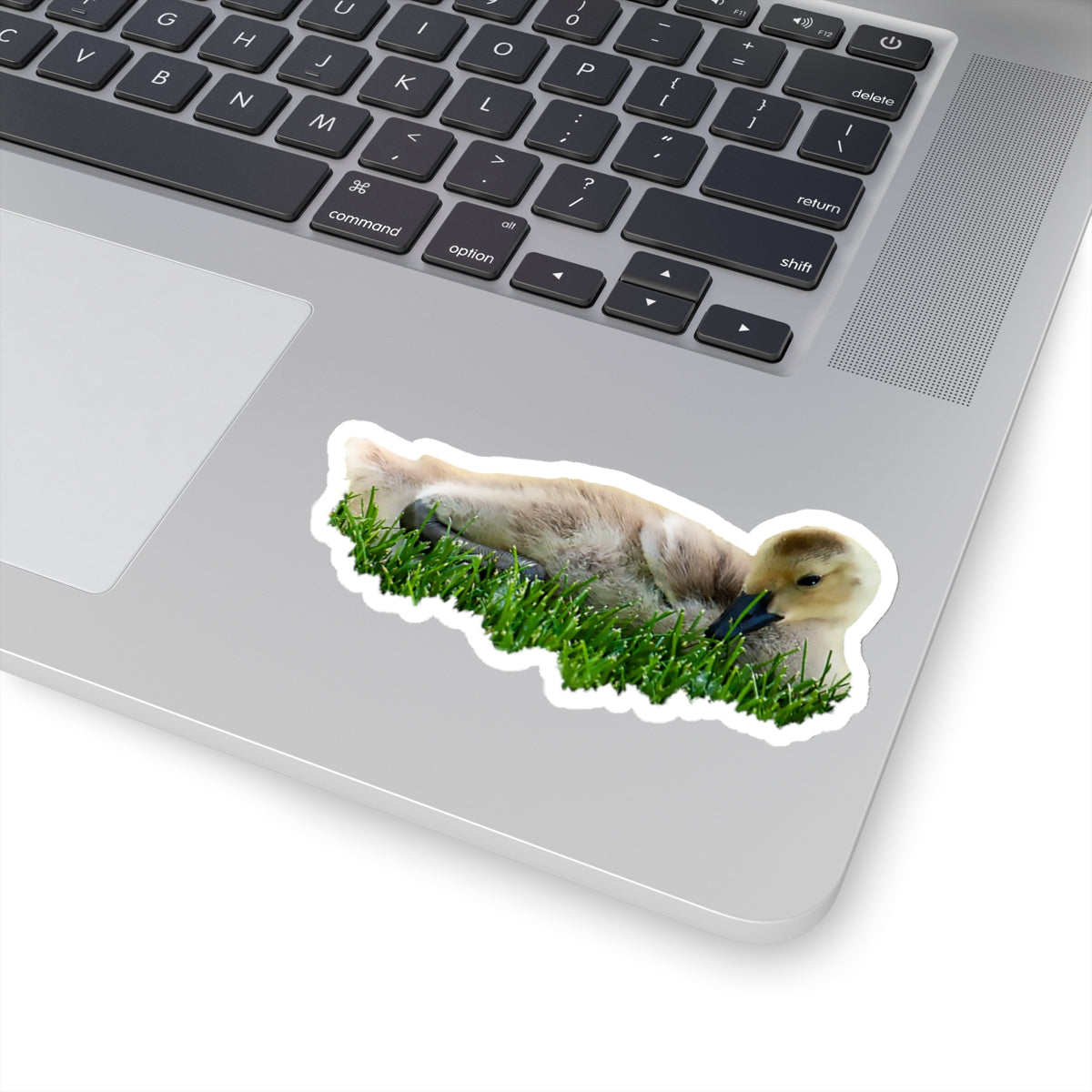 Baby Duck Sticker