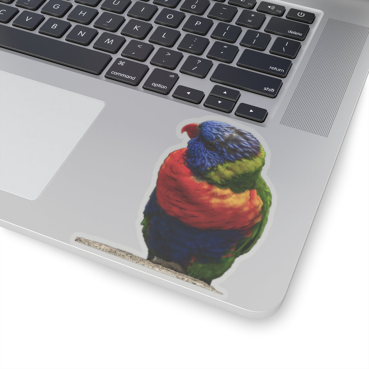 Parrot Sticker