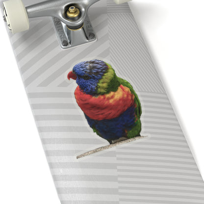 Parrot Sticker