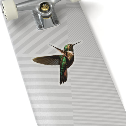 Hummingbird Sticker