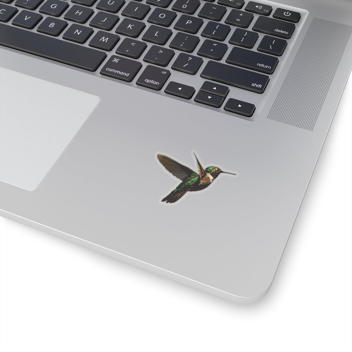 Hummingbird Sticker