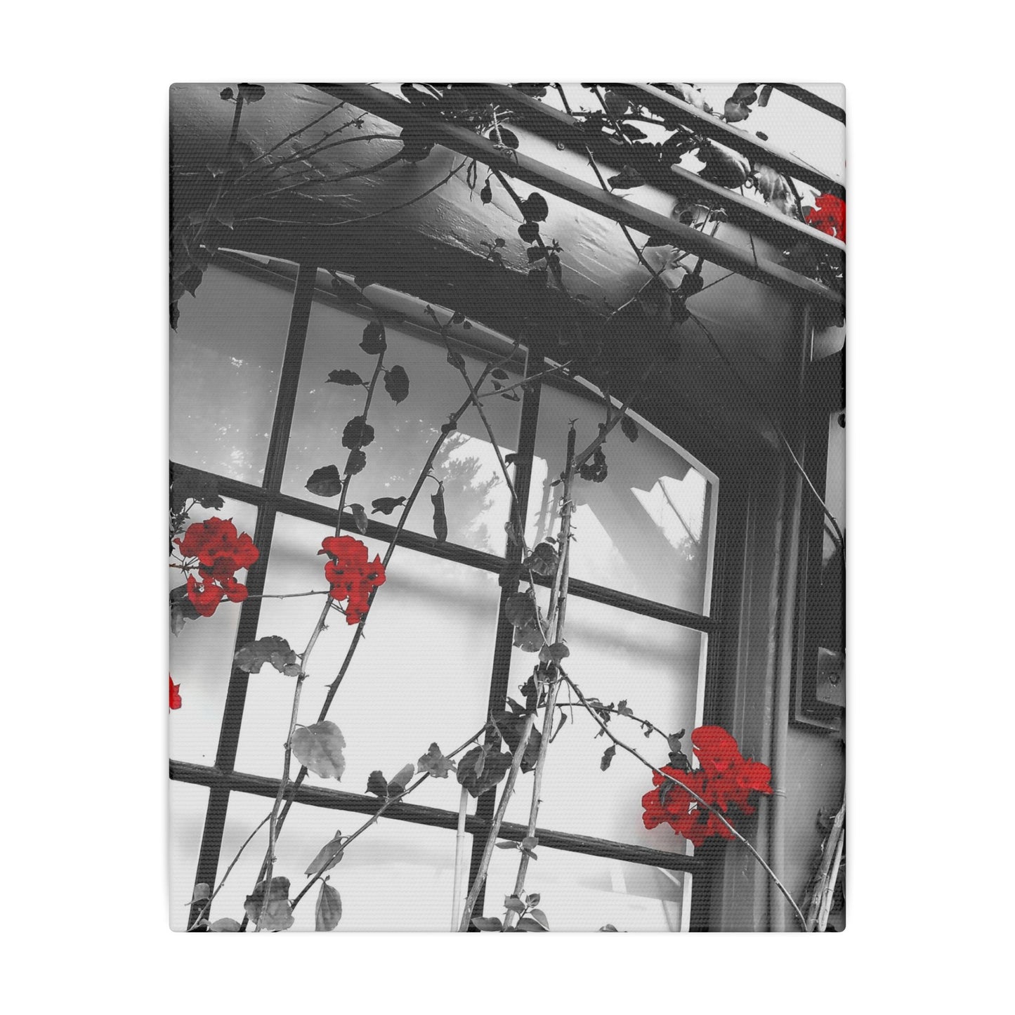 Red Flowers Canvas