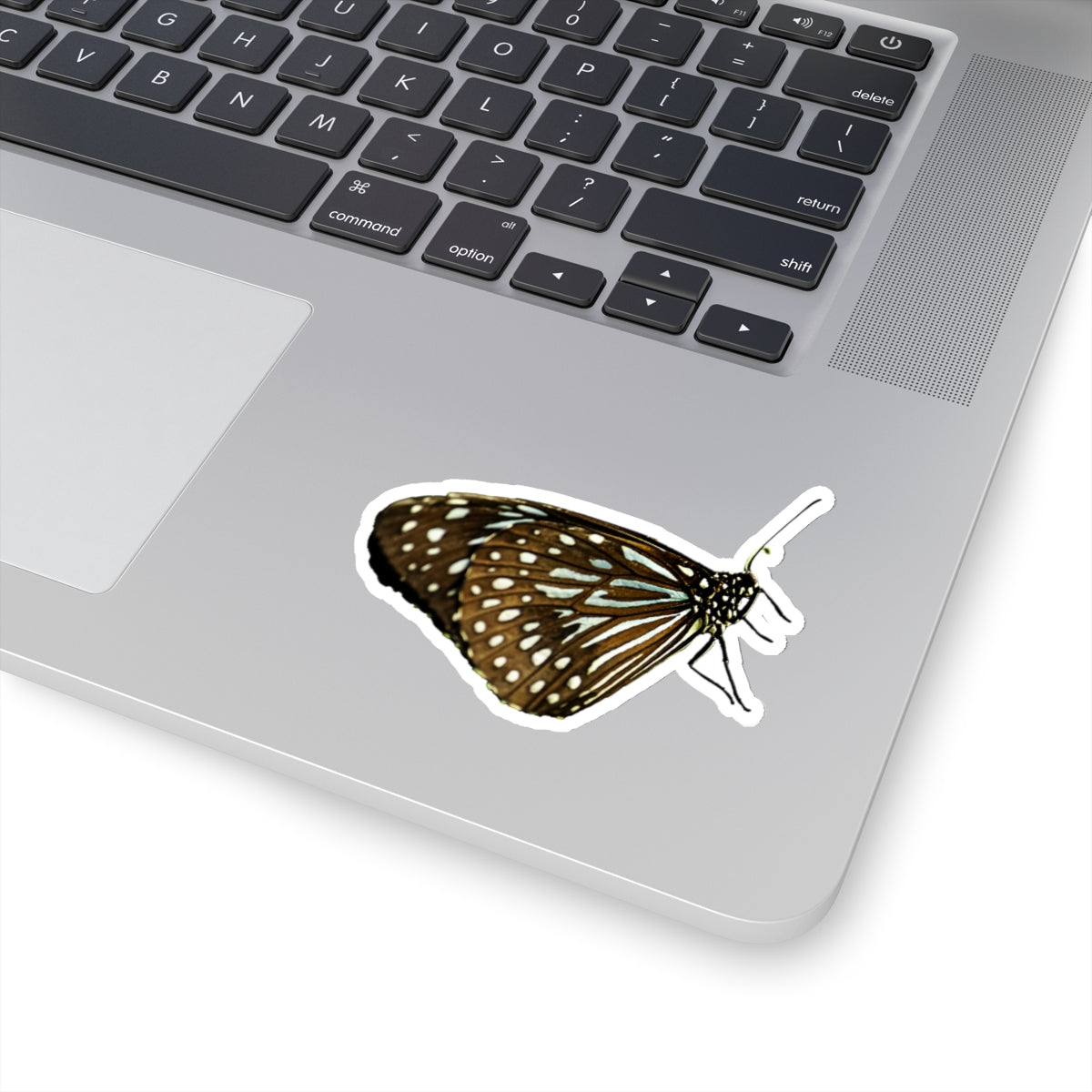 Blue Butterfly Sticker