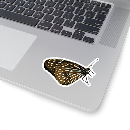 Blue Butterfly Sticker