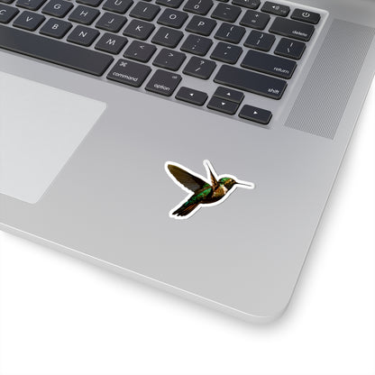 Hummingbird Sticker