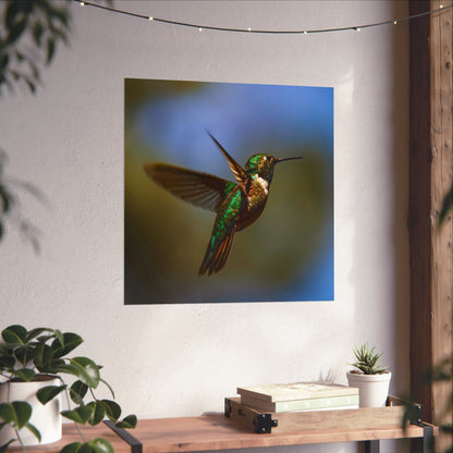 Hummingbird Poster