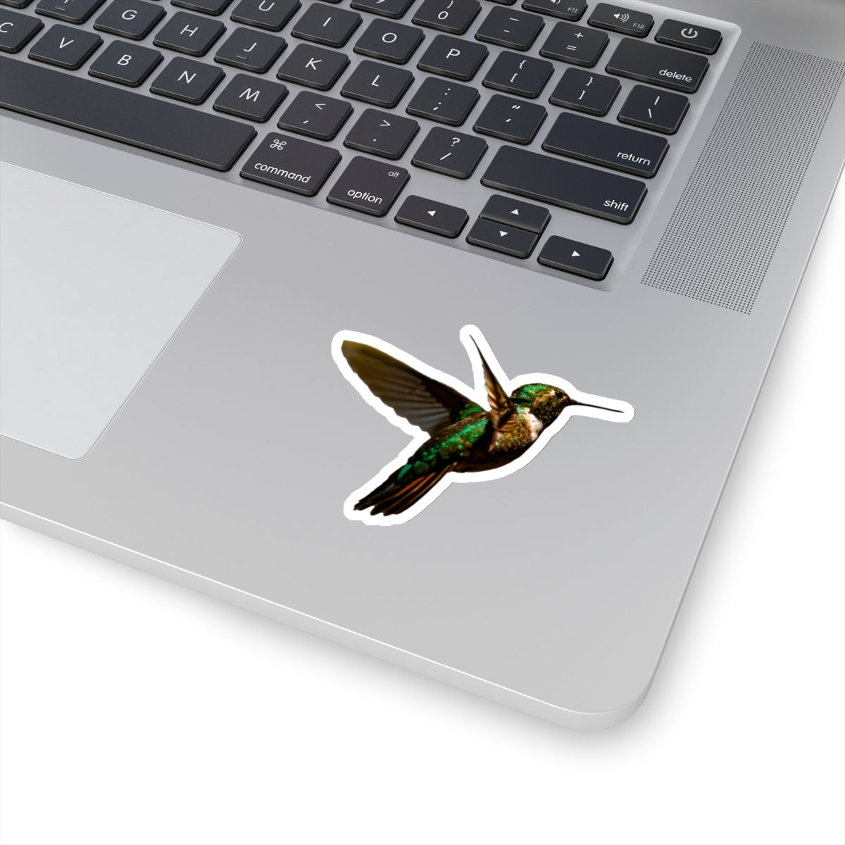 Hummingbird Sticker