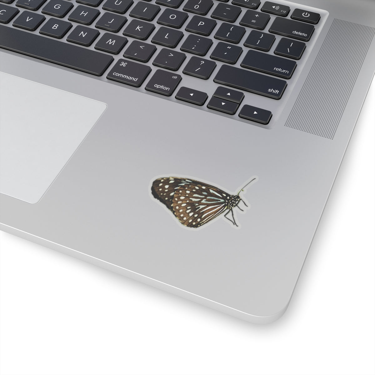 Blue Butterfly Sticker