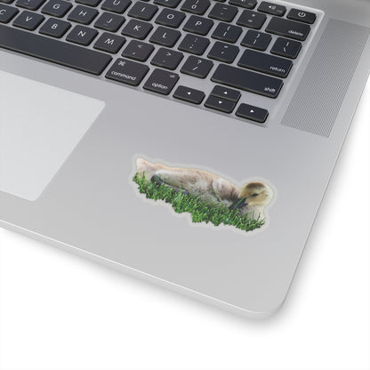 Baby Duck Sticker