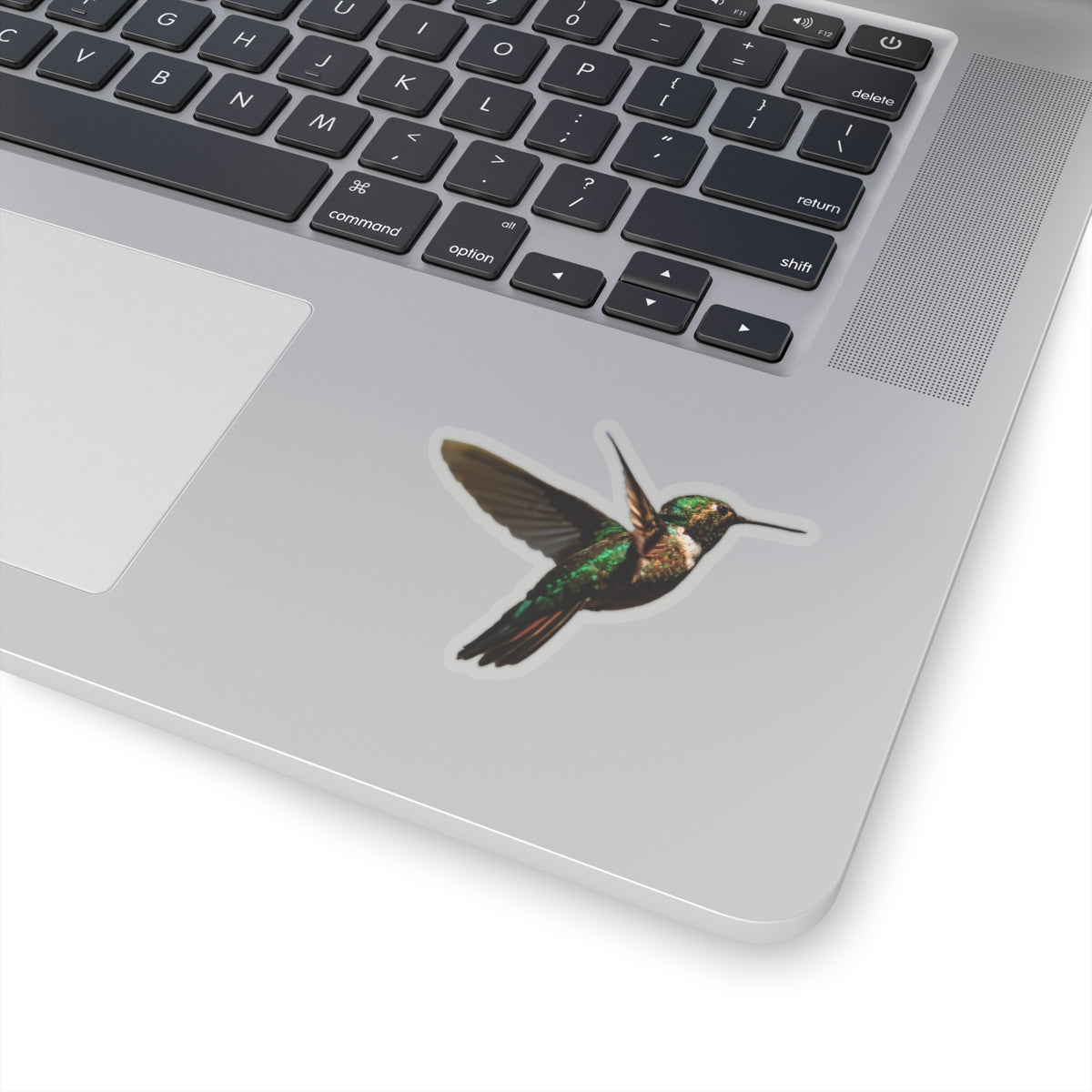 Hummingbird Sticker