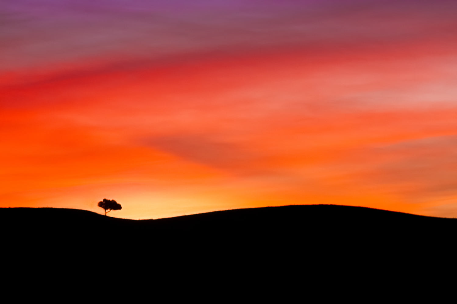 20240120-IMG_0428-Edit.jpg