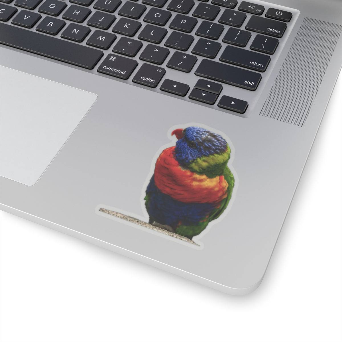 Parrot Sticker