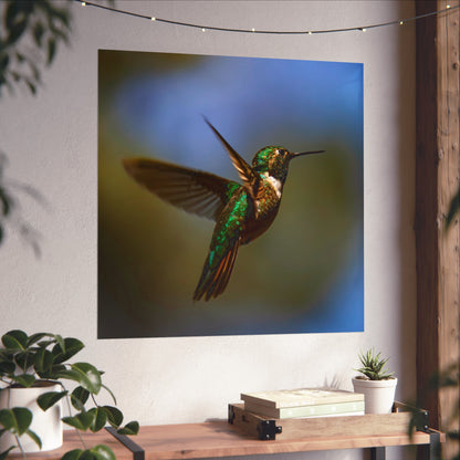 Hummingbird Poster