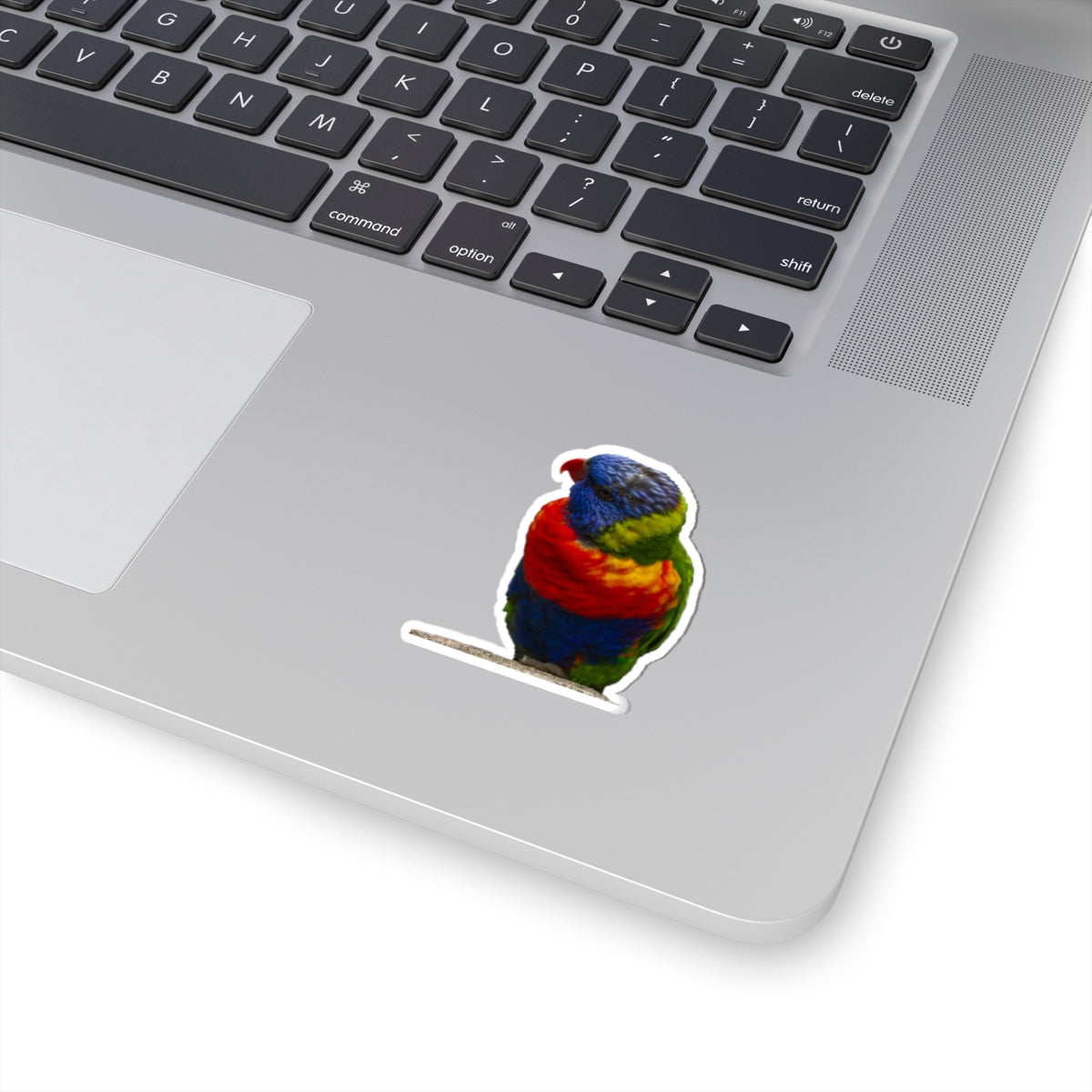 Parrot Sticker