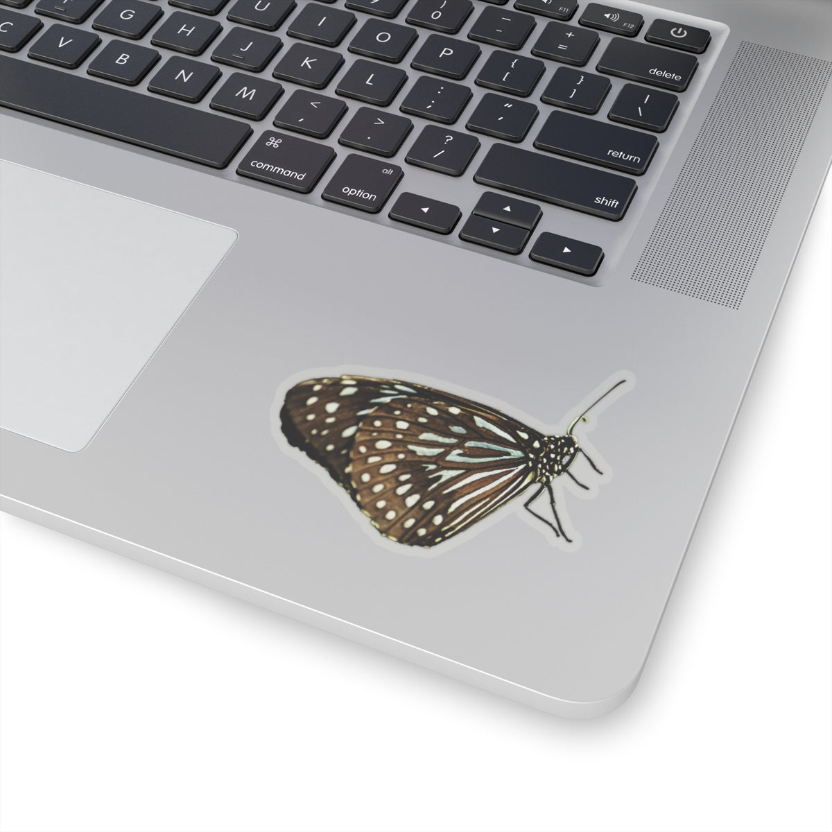 Blue Butterfly Sticker