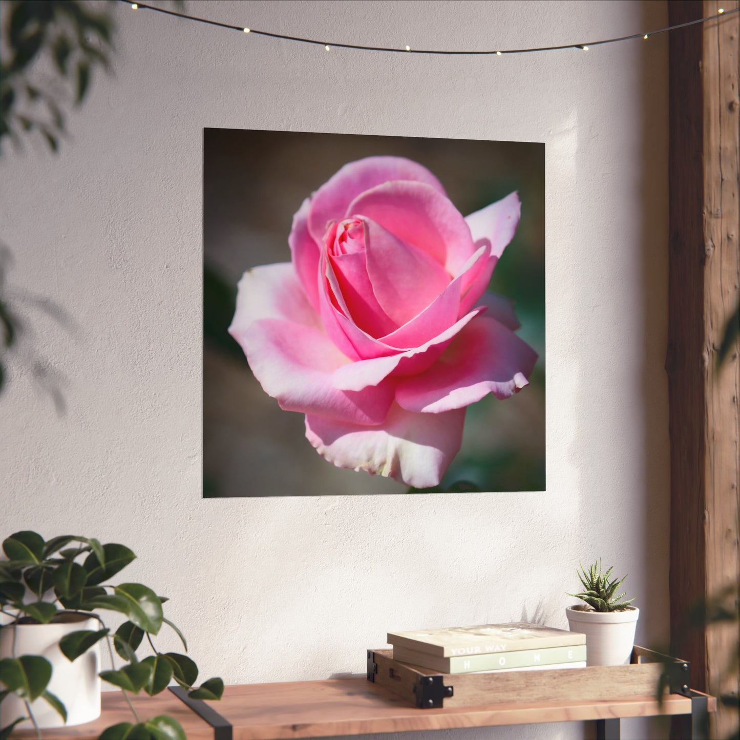 Pink Rose Poster