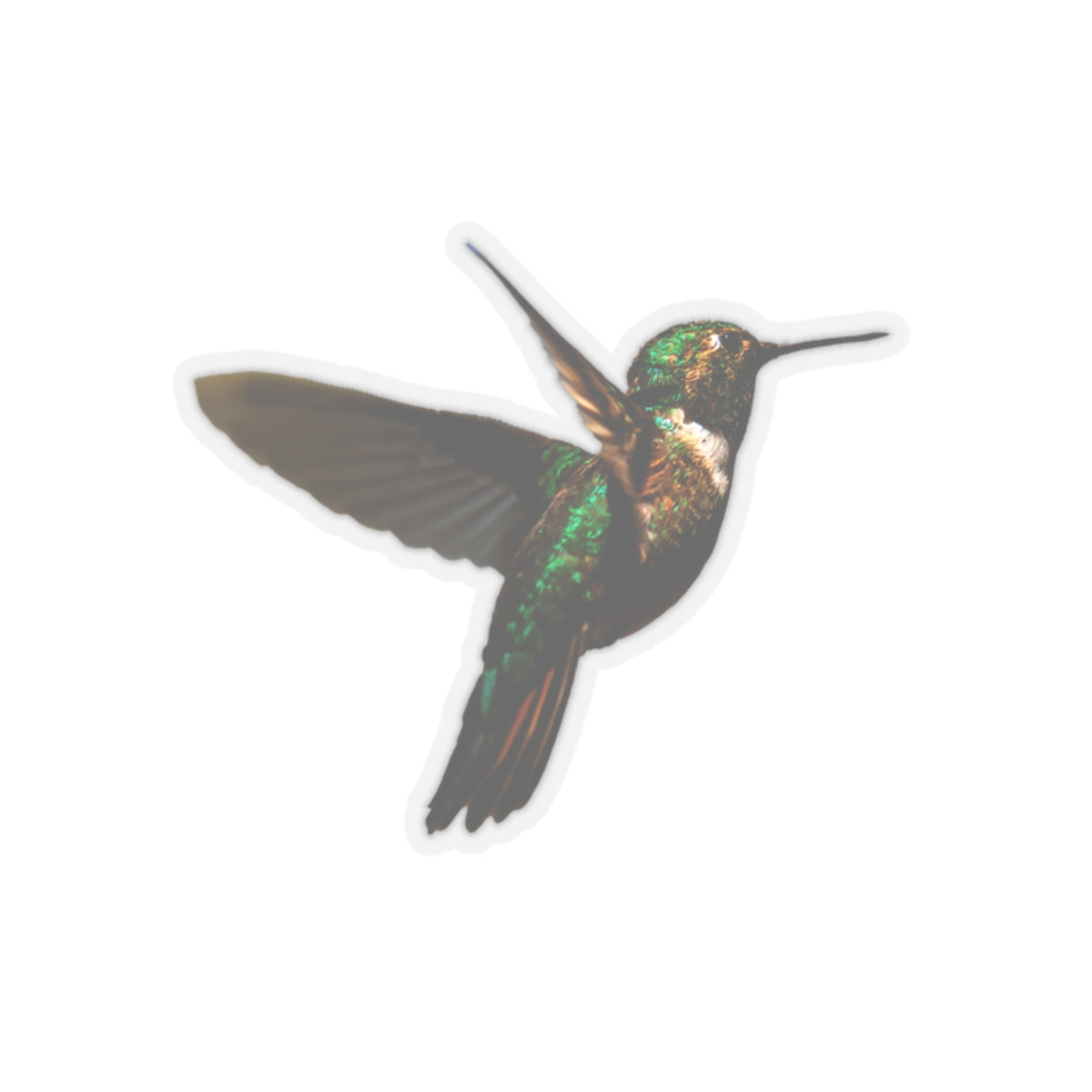 Hummingbird Sticker