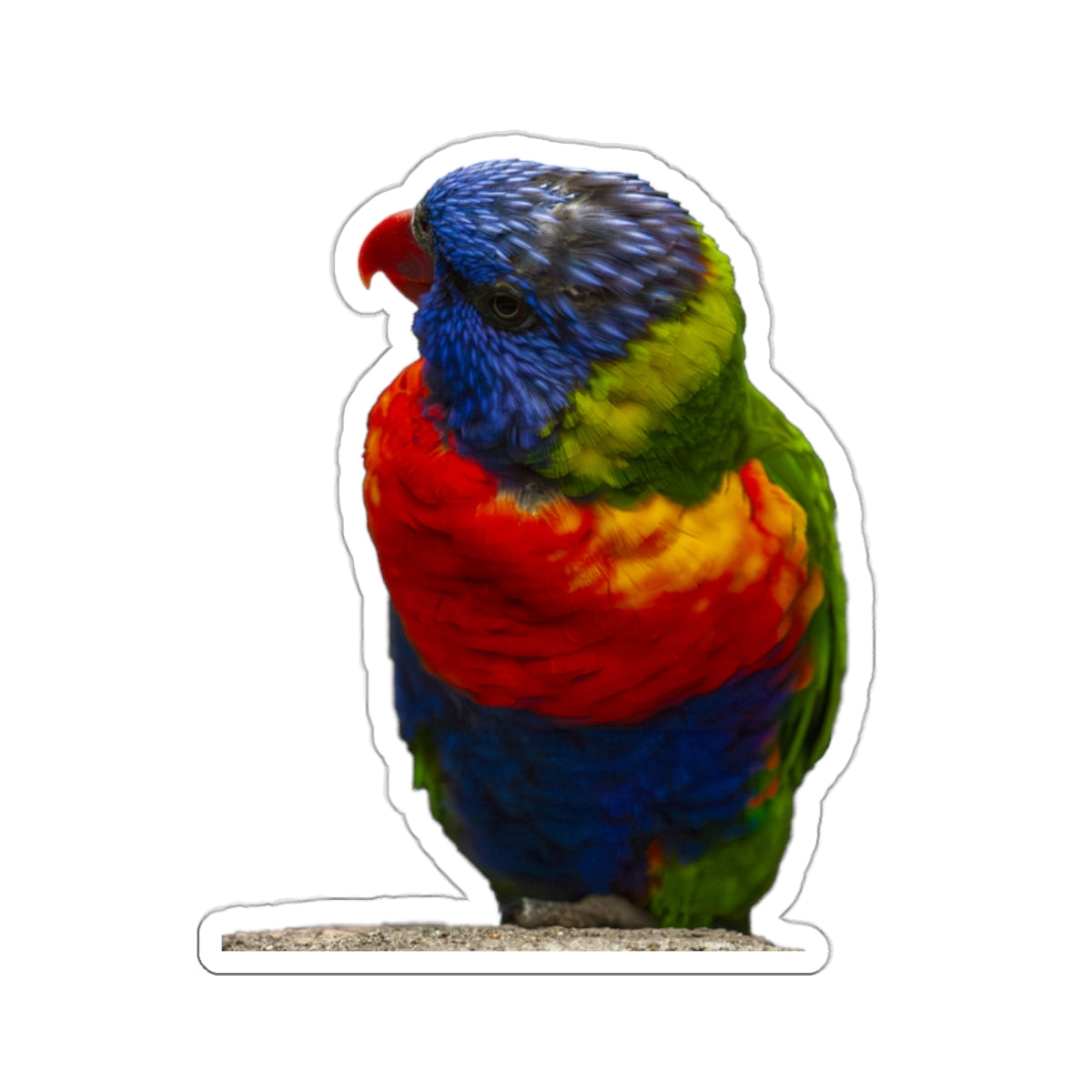 Parrot Sticker