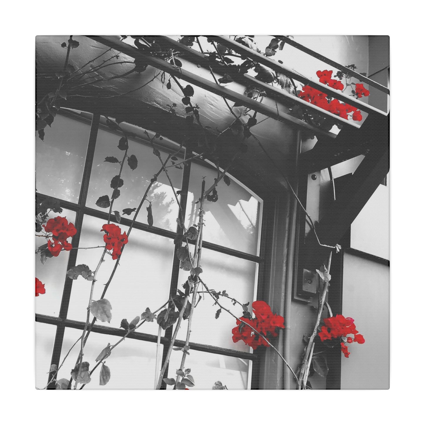 Red Flowers Canvas