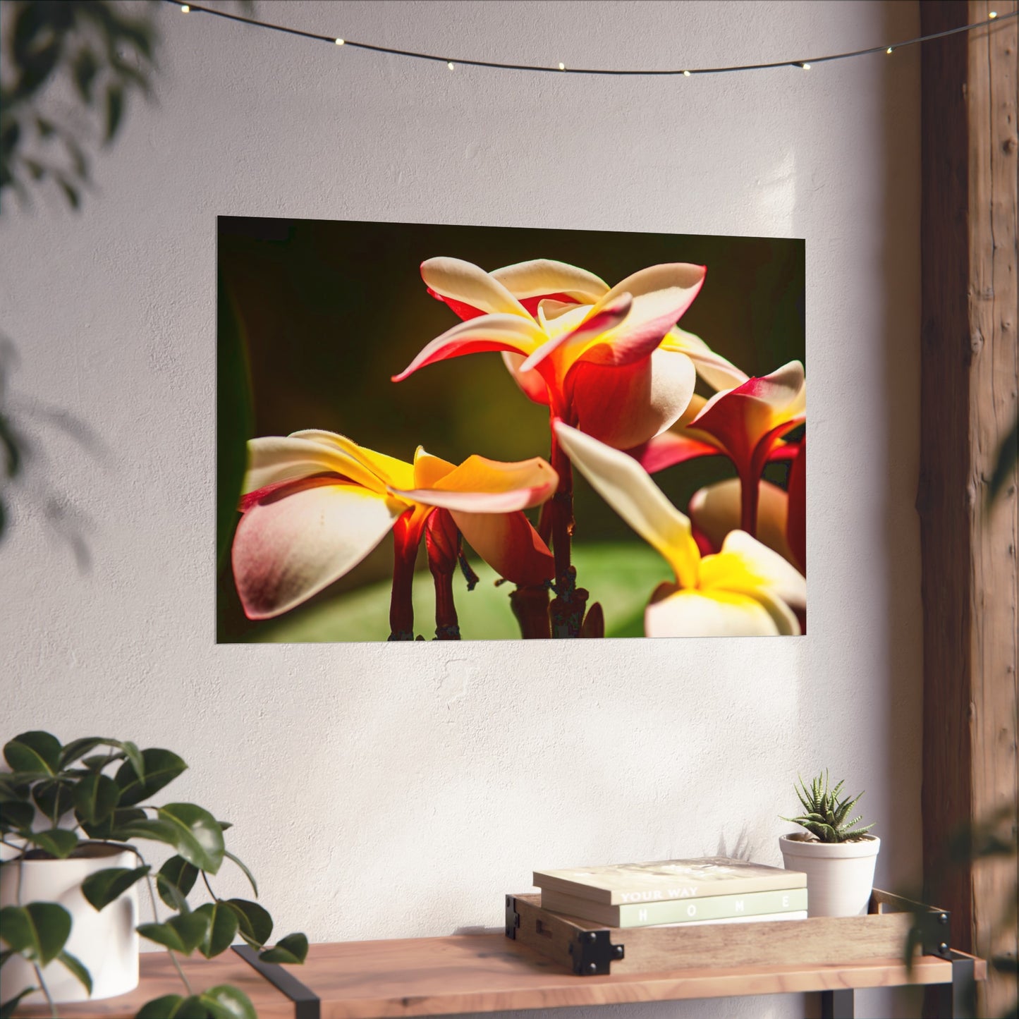 Plumeria Poster