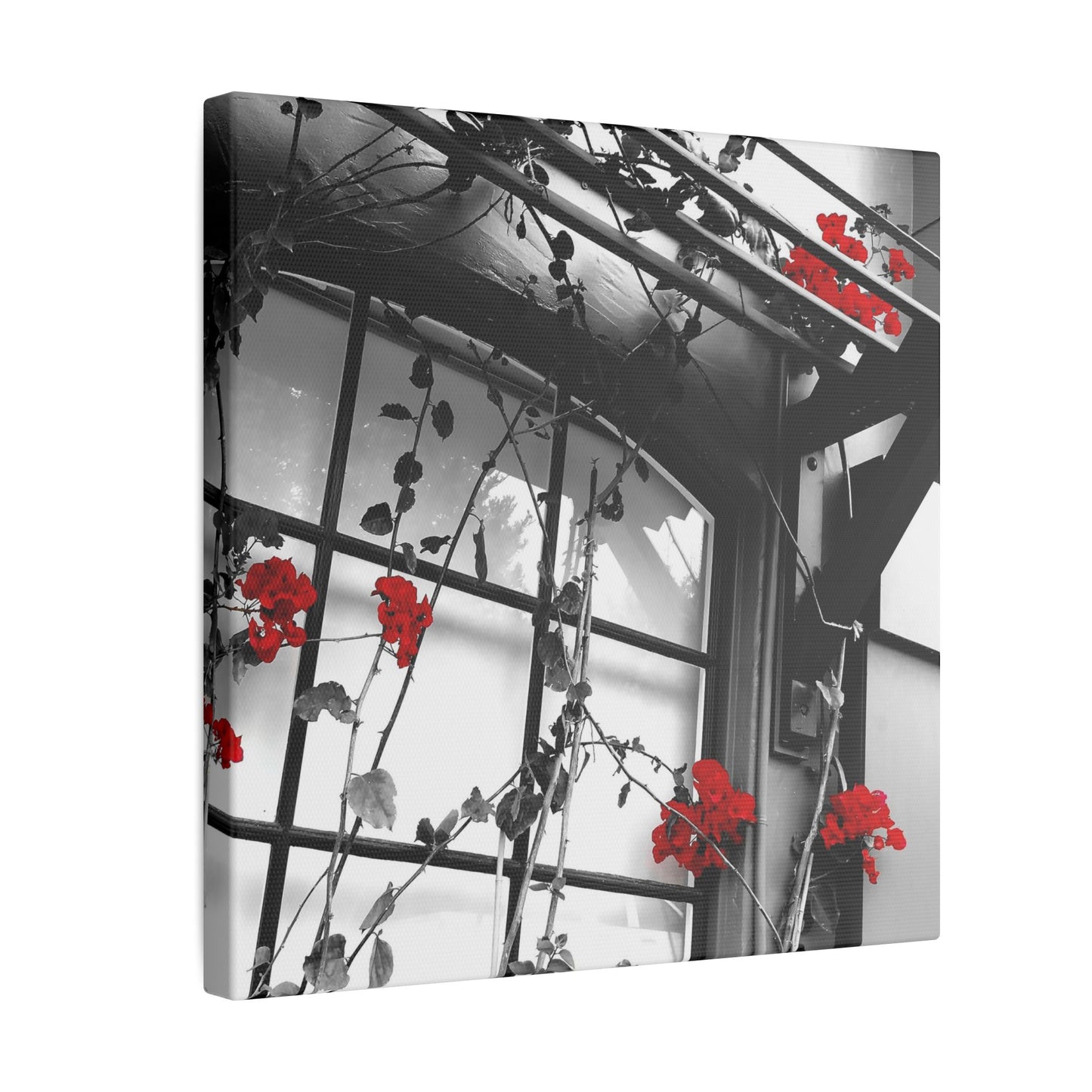 Red Flowers Canvas