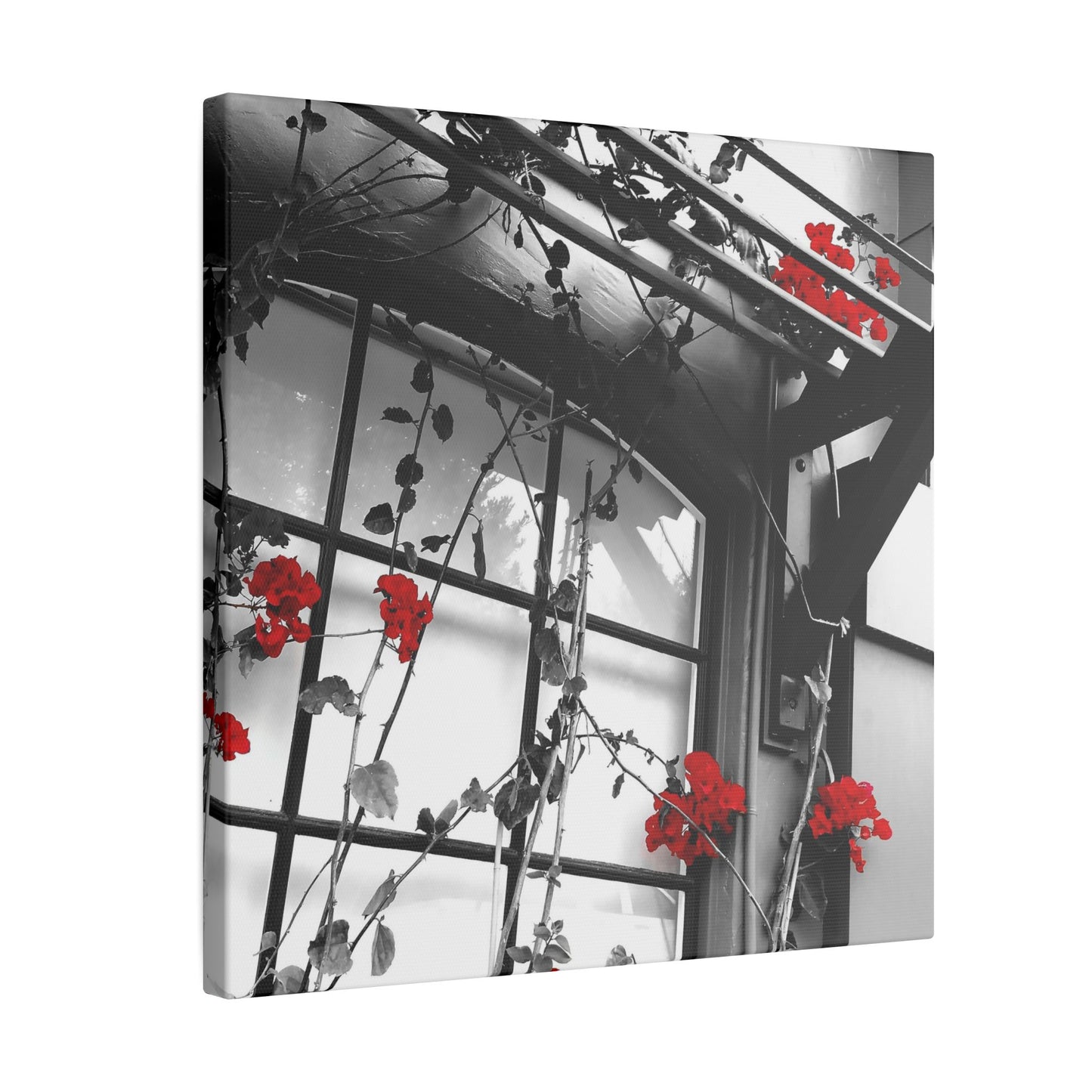 Red Flowers Canvas