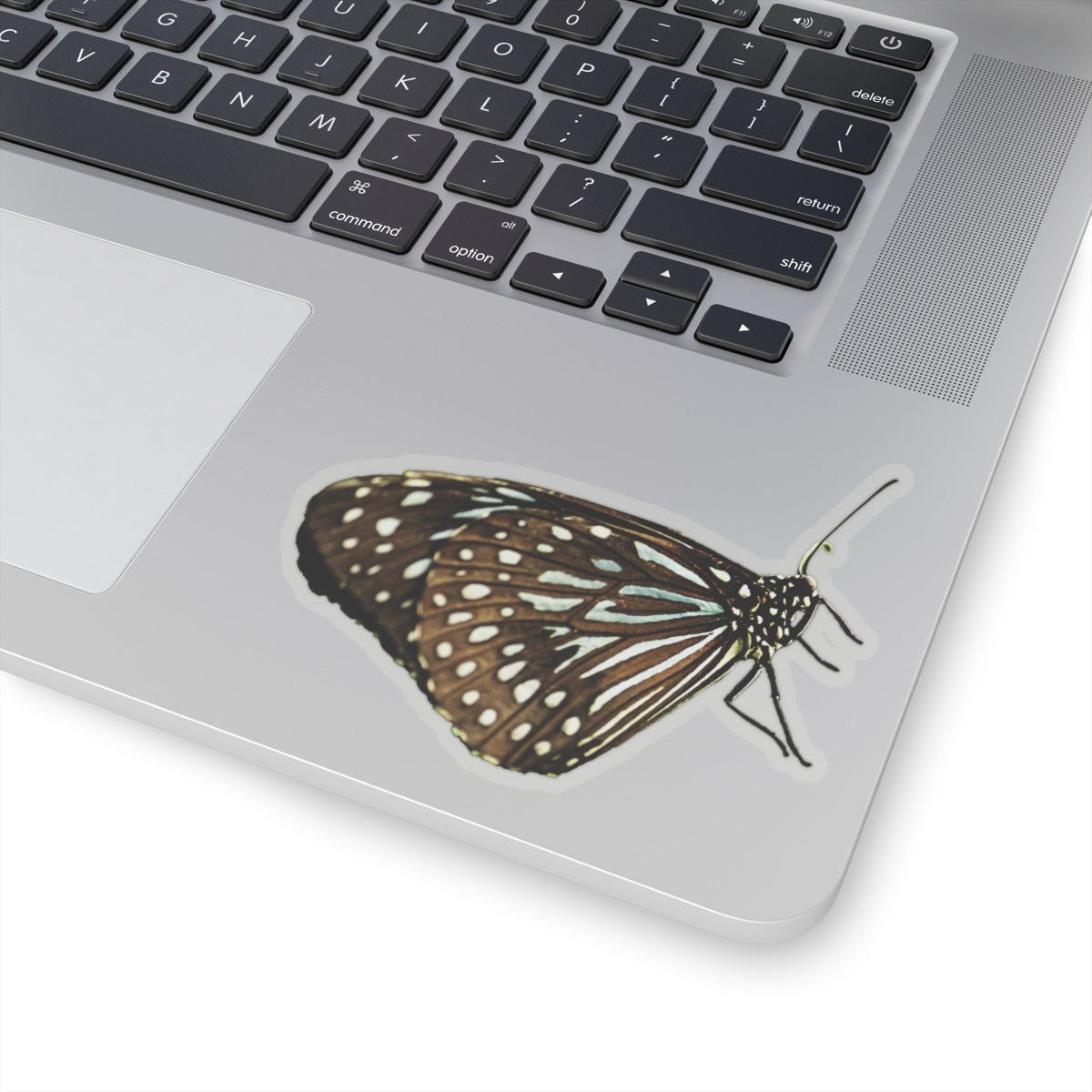 Blue Butterfly Sticker